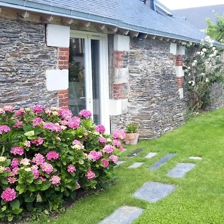 Entre Loire Et Vignes *